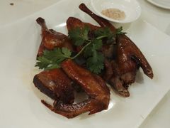 红烧乳鸽-黄埔华苑酒家(黄埔店)