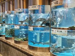 -老船舫·现做活鲜鱼馆(东郊记忆店)