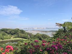 -广州莲花山旅游区