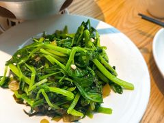 -滇铺子·云南特色菜·第九届野生菌美食节(东风东路c86店)