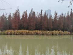 -艾溪湖湿地公园