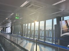 -米兰-马尔彭萨机场