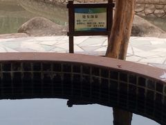 -龙达温泉生态城