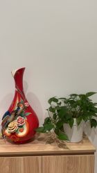 -舒欣头疗·俏丝谧语 白发脱发专业护理 
