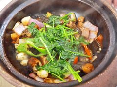 啫啫黄鳝-津津菜馆(绝没分店)