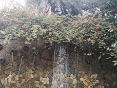 -厦门日月谷温泉渡假村