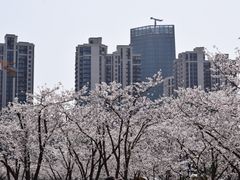 -龙美术馆(西岸馆)