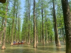 -渌洋湖湿地公园