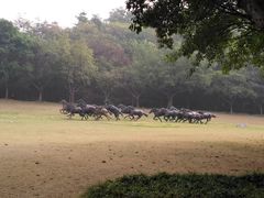 -广州雕塑公园
