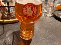 -Boxing Cat Brewery拳击猫精酿啤酒馆(永福店)