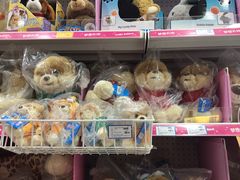 -TOYSRUS玩具反斗城(大连恒隆广场店)
