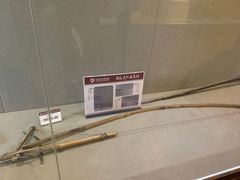 -亚龙湾热带天堂森林公园