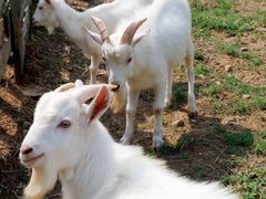 -茅山东方盐湖城景区