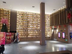 -深影国际影城(学院南路店CGS中国巨幕店)