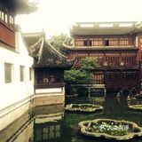 上海旅游攻略|三大必打卡之地 来上海旅游，有哪些一定