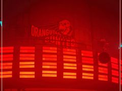 -Orangutan Bunker猩猩地堡酒吧(兰桂坊店)