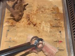 -新石器烤肉(百联川沙店)