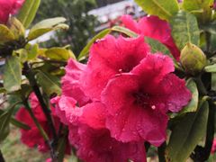 -名花谷生态庄园