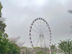 -自然谷恐龙园