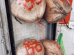 -洪馨椰子