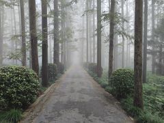 -上海怡沁园度假酒店