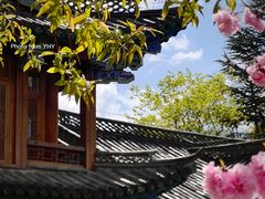 -黑龙潭公园