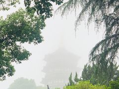 -浙江西子宾馆·瑶园咖啡厅