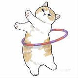 注意！前方有猫咪出没