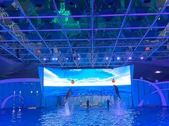 -海合安青岛极地海洋公园