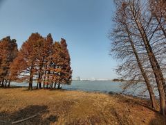 -长广溪湿地公园