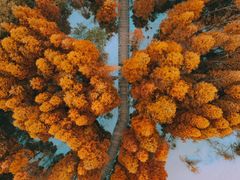 -桤木河湿地公园