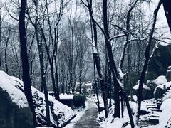 -秦岭终南山世界地质公园翠华山景区