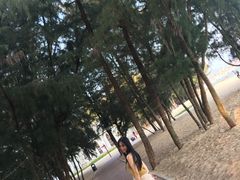 -玫瑰海岸文化旅游度假区