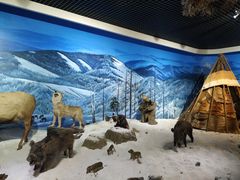 -呼伦贝尔民族博物馆