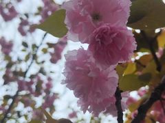 -苏州吴中太湖旅游区