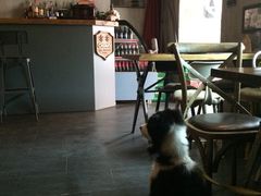 百好乐比萨-百好乐宠物友好餐厅(朝外大街店)