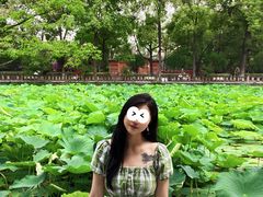 -房湖公园