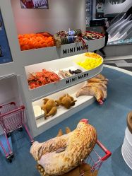 -MINI MARS KIDS CLUB亲子家庭中心(长宁天山店)