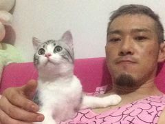iphone_upload_pic-Bastet sally猫舍购宠(静安店)