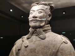 -秦始皇帝陵博物院(兵马俑)