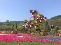 -苏州上方山国家森林公园