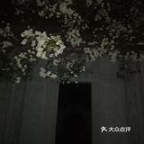 一起合道