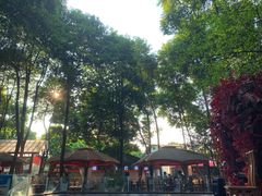 -二荆条·蜀鲜汇城市森林火锅