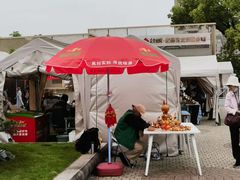 -嘉定紫藤园