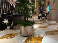-西安赛瑞喜来登大酒店