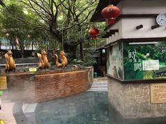 -嘉和K6温泉微度假