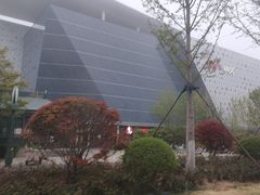 -大锅强·蒸海鲜青岛菜(吾悦广场店)