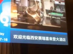 -西安赛瑞喜来登大酒店