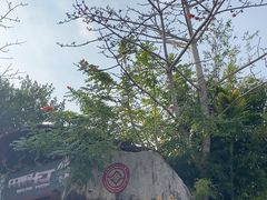-海南槟榔谷黎苗文化旅游区