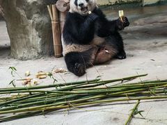 -杭州野生动物世界